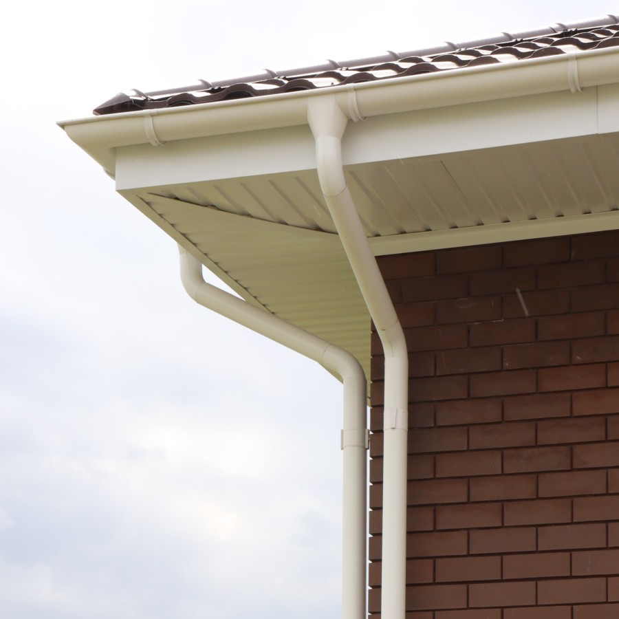 IMG_2270_1