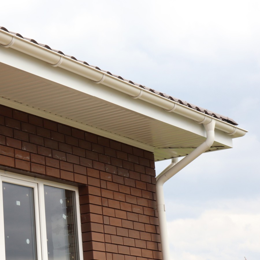IMG_2243_1
